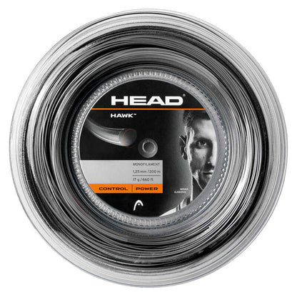 Head Saite - Hawk